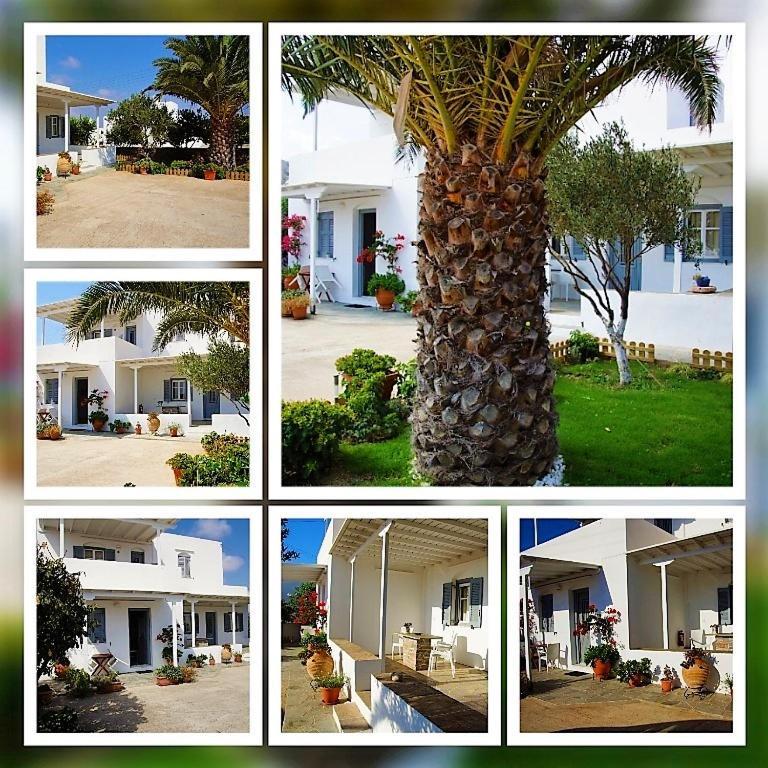 George'S Place Sifnos - Apartments Apollonia Buitenkant foto